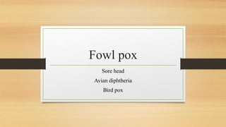 Fowl pox
Sore head
Avian diphtheria
Bird pox
 
