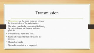 Transmission
• Mosquitoes are the most common vectors
for transmission of the avipoxvirus.
• The virus can also be transmitted indirectly
by contaminated surfaces or airborne
particles.
• Contaminated water and feed.
• Scales of disease bird also transmit the
disease.
• Through wounds.
• Vertical transmission is suspected.
 