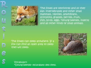 The foxes are omnivores and so they
                        eat: invertebrates and other small
                        mammals, reptiles, amphibians,
                        scorpions, grasses, berries, fruit,
                        fish, birds, eggs, *doung beetles, insects
                        and all other kinds of small animals.




The foxes can sleep anywhere. If a
fox can find an open area to sleep
they will sleep.




  Vocabulary:
  *Doung beetles- escarabats dels fems.
 