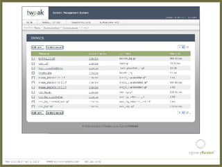 Fox River Ad Club Presentation