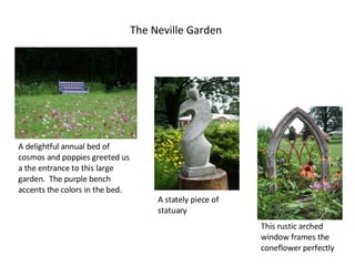 The Neville Garden A delightful annual bed of cosmos and poppies greeted us a the entrance to this large garden.  The purple bench accents the colors in the bed. A stately piece of statuary This rustic arched window frames the coneflower perfectly 