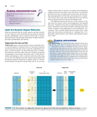 14 Chapter 1
energy (calories) than we can burn, we produce fat by dehydration
synthesis reaction in our adipose tissue (fat tissue). As mentioned
previously, the type of reaction that would reverse this process,
digesting triglycerides into free fatty acids and glycerol, is a hydro-
lysis reaction. This occurs when we digest the fat we eat, and also
when we break down the fat stored in our adipose tissue.
The difference between fat and oil is in the structure of the
fatty acids. Fat, which is solid at room temperatures, has saturated
fatty acids. “Saturation” here refers to single bonds between carbon
atoms, which allows each carbon to bond to 2 hydrogen atoms. Oil
(which is liquid at room temperature) is more unsaturated. “Un-
saturation” refers to double bonds between carbon atoms, which
means that each carbon can bond only to 1 hydrogen (ﬁg. 1.17).
Remember, carbon can have only 4 bonds, and hydrogen can have
only 1 bond.
Glycerol
Carboxylic
acid
Fatty acid
R
Hydrocarbon chain
Triglyceride
Glycerol
Ester
bond
Hydrocarbon
chain
3H2O
H
H C
H C
OH
OH
H
H
C
H
H C C
O
RO
C
O
RO
C
O
RO
H C
H
H
COH
O H H H H H H
H H H H H H
HO C C C C C C C
O H H H H H H
H H H H H H
HO C C C C C C C
O H H H H H H
H H H H H H
HO C C C C C C C
+
FIGURE 1.16 The formation of a triglyceride molecule from glycerol and 3 fatty acids by dehydration synthesis reactions. A molecule
of water is produced as a bond forms between each fatty acid and the glycerol. Sawtooth lines represent hydrocarbon chains, which are symbolized by an R.
CLINICAL APPLICATIONS
Ketone bodies are 4-carbon-long acidic molecules derived from
free fatty acids. When we hydrolyze (break down) our stored fat
faster than our tissues can metabolize the fatty acids for energy,
some of the free fatty acids go to the liver, which forms ketone bodies
from them. These circulate in the blood (providing energy for the body)
and some “spill over” into the urine. Ketone bodies in the urine can
be tested by a simple dipstick method. Indeed, there are strict weight-
reducing diets that suggest that dieters test their urine for ketone bodies
to see if they are breaking down fat. A dangerous level of ketone bodies
in the blood, which lowers the blood pH, can occur in uncontrolled type
1 diabetes mellitus (discussed in chapter 8).
CLINICAL INVESTIGATION CLUES
Remember that Laura ate little or no carbohydrates
and felt weak.
• If her blood glucose concentration were low, how
would this affect the amount of stored glycogen?
• How might the amount of stored glycogen be related to her
feeling of weakness?
Lipids Are Nonpolar Organic Molecules
Lipids are molecules that are mostly nonpolar and thus insoluble
in water. They are a more structurally diverse group of molecules
than the carbohydrates, and so cannot be shown with a common
chemical formula. The principal subcategories of lipids are the tri-
glycerides, phospholipids, and steroids.
Triglycerides Are Fats and Oils
Triglycerides share a common structure, where 3 molecules of fat-
ty acids are bonded to 1 molecule of glycerol. The type of chemical
reaction that joins the fatty acids to glycerol is dehydration syn-
thesis, as shown in ﬁgure 1.16. Notice that glycerol is a 3-carbon-
long molecule, and each carbon atom has a hydroxyl group that
can participate in the reaction. Each fatty acid is a long chain of
carbons and hydrogens, with a carboxyl (carboxylic acid) group
on one end. The hydrogen from the carboxyl group bonds with
the hydroxyl group from glycerol to produce water, as a bond is
formed between the glycerol and the fatty acid. If we eat more
fox03490_ch01_001_026.indd 14fox03490_ch01_001_026.indd 14 11/3/07 9:15:58 AM11/3/07 9:15:58 AM
 