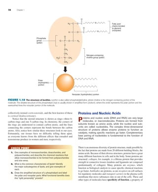 16 Chapter 1
collectively termed corticosteroids, and the best-known of these
is cortisol (hydrocortisone).
Notice that the steroid structure is shown as rings—three 6-
carbon rings and one 5-carbon ring. In chemistry, the corners of
the rings are understood to contain carbon atoms, and the lines
connecting the corners represent the bonds between the carbon
atoms. Also, notice how similar these structures look to our eyes.
Fortunately, our tissues have no difﬁculty telling them apart,
as everyone knows from the different effects that estradiol and
testosterone produce in women and men, respectively.
CHECK POINT
1. Give examples of monosaccharides, disaccharides, and
polysaccharides, and describe the chemical reactions that
allow monosaccharides to be formed from polysaccharides
and vice versa.
2. What is the common characteristic of lipids? Identify
the major subcategories of lipids, and give examples of
each.
3. Draw the simpliﬁed structure of a phospholipid and label
the polar and nonpolar parts. What functional beneﬁts does
this “split personality” provide?
Proteins and Nucleic Acids
Proteins and nucleic acids (DNA and RNA) are very large
molecules, or macromolecules. Proteins are formed from
subunits known as amino acids, while the nucleic acid sub-
units are called nucleotides. The complex three-dimensional
structure of proteins allows enzyme proteins to function as
catalysts, making speciﬁc reactions go faster. Complementary
base pairing of nucleotides is fundamental to the function of
DNA and RNA.
There is an enormous diversity of protein structure, made possible by
the fact that proteins are made from 20 different building blocks, the
amino acids. Because of their diverse structures, proteins have a great
many different functions in cells and in the body. Some proteins are
structural: collagen, for example, is a ﬁbrous protein that provides
strength in connective tissues (tendons and ligaments are composed
predominantly of collagen). Many proteins are enzymes, which
function as biological catalysts to cause speciﬁc chemical reactions
to go faster. Antibodies are proteins, as are receptors on cell surfaces
for regulatory molecules and transport carriers in the plasma (cell)
membrane that move substances into or out of the cells. These and
other types of molecules have speciﬁcity of function, a property of
CH2 O
O C
O
H2O CP–
O
O
CH2
+
N CH3H3C
CH2
CH3
H C
R
R
C
O
O
Fatty acid
chains bonded
to glycerol
(nonpolar)
Nitrogen-containing
choline group (polar)
Nonpolar (hydrophobic) portion
Polar
(hydrophilic)
portion
Phosphate
group
(polar)
FIGURE 1.18 The structure of lecithin. Lecithin is also called phosphatidylcholine, where choline is the nitrogen-containing portion of the
molecule. The detailed structure of the phospholipid (top) is usually shown in simpliﬁed form (bottom), where the circle represents the polar portion and the
sawtoothed lines the nonpolar portion of the molecule.
fox03490_ch01_001_026.indd 16fox03490_ch01_001_026.indd 16 11/3/07 9:16:01 AM11/3/07 9:16:01 AM
 