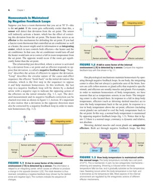 4 Chapter 1
Homeostasis Is Maintained
by Negative Feedback Loops
Suppose you have a room thermostat that you set at 70° F—this
is the set point. If the room gets sufﬁciently cooler than this, a
sensor will detect that deviation from the set point. The sensor
will indirectly activate a heater, which has the effect of correct-
ing this deviation from the set point. The heater thus serves as an
effector in this mechanism for defending the set point. If you had
a fancier room thermostat that controlled an air conditioner as well
as a heater, the sensor might send its information to an integrating
center, which in turn controls both effectors—the heater and the
air conditioner. In that case, the air conditioner would turn off and
the heater would turn on to correct a fall in room temperature from
the set point. The opposite would occur if the room got signiﬁ-
cantly hotter than the set point.
The relationship just described, where a sensor is activated
by a deviation from a set point and an effector responds to op-
pose that deviation, is called a negative feedback loop. “Nega-
tive” describes the action of effectors to oppose the deviation.
“Loop” describes the circular nature of the cause-and-effect
sequence; the effector “feeds back” on the initial deviation (the
stimulus, which is the first step in the sequence) to oppose
it and help maintain homeostasis. In this textbook, the last
step in a negative feedback loop will be shown by a dashed
arrow with a negative sign to indicate the opposing action of
the effectors on the initial stimulus (fig. 1.1, top). The devi-
ated measurement and its negative feedback correction can be
charted over time as shown in figure 1.1, bottom. It’s important
to also realize that a deviation in the opposite direction must
also be corrected by a negative feedback loop in order to main-
tain homeostasis (fig. 1.2).
Our physiological mechanisms maintain homeostasis by oper-
ating through negative feedback loops. In our body, the integrating
center is often (but not always) a particular area of the brain. Sen-
sors are cells (often neurons or gland cells) that respond to speciﬁc
stimuli, and effectors are usually muscles and glands. For example,
in order to maintain homeostasis of body temperature, we have
neurons that act as temperature sensors in our brain. The integrat-
ing center is also located there. In response to a fall in deep body
temperature, effectors (such as shivering skeletal muscles) act to
raise the body temperature back to the set point. In response to a
rise in body temperature above the set point, effectors (including
sweat glands) are activated to cool the body temperature back to
the set point. In this way, a normal body temperature is maintained
by opposing negative feedback loops (ﬁg. 1.3). Notice that in ﬁg-
ure 1.3 there is a normal range; constancy is dynamic and relative,
not absolute.
Shivering skeletal muscles and sweat glands are antagonistic
effectors. Both act through negative feedback loops, but they
Sensor
Effector
Integrating centerX
1
X
2
–
X
1 2
Time
Sensor activated Effector activated
Normal
range
FIGURE 1.1 A rise in some factor of the internal
environment (↑X) is detected by a sensor. This information is
relayed to an integrating center, which causes an effector to produce
a change in the opposite direction (↓X). The initial deviation is thus
reversed, completing a negative feedback loop (shown by the dashed
arrow and negative sign). The numbers indicate the sequence of
changes.
X
1
X
2
–
X
1 2
Time
Sensor activated Effector activated
Normal
range
Sensor
Effector
Integrating center
FIGURE 1.2 A fall in some factor of the internal
environment (↓X) is detected by a sensor. Compare this negative
feedback loop with that shown in ﬁg. 1.1.
Sweat
Shiver
Normal
range
Sweat
Shiver
37° C
FIGURE 1.3 How body temperature is maintained within
the normal range. The body temperature normally has a set point
of 37º C. This is maintained, in part, by two antagonistic mechanisms—
shivering and sweating. Shivering is induced when the body
temperature falls too low, and it gradually subsides as the temperature
rises. Sweating occurs when the body temperature is too high, and
it diminishes as the temperature falls. Most aspects of the internal
environment are regulated by the antagonistic actions of different
effector mechanisms.
fox03490_ch01_001_026.indd 4fox03490_ch01_001_026.indd 4 11/14/07 10:33:08 AM11/14/07 10:33:08 AM
 