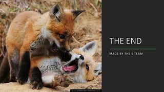 THE END
MADE BY THE S TEAM
This Photo by Unknown author is licensed under CC BY-ND.
 