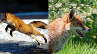 This Photo by Unknown author is licensed under CC BY-SA.
 