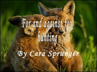 By Cara Sprunger For and against fox hunting 