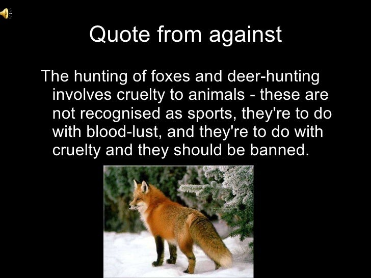 fox hunting