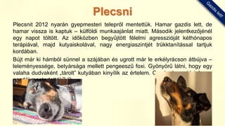 Plecsnit 2012 nyarán gyepmesteri telepről mentettük. Hamar gazdis lett, de
hamar vissza is kaptuk – külföldi munkaajánlat miatt. Második jelentkezőjénél
egy napot töltött. Az időközben begyűjtött félelmi agresszióját kéthónapos
terápiával, majd kutyaiskolával, nagy energiaszintjét trükktanítással tartjuk
kordában.
Bújt már ki hámból sünnel a szájában és ugrott már le erkélyrácson átbújva –
leleményessége, betyársága mellett pengeeszű foxi. Gyönyörű látni, hogy egy
valaha dudvaként „tárolt” kutyában kinyílik az értelem. Csoda, hogy ideiglenes
gazdái megtartották? 
Plecsni
 