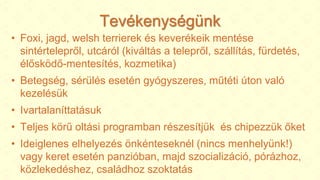 Tevékenységünk
• Foxi, jagd, welsh terrierek és keverékeik mentése
sintértelepről, utcáról (kiváltás a telepről, szállítás, fürdetés,
élősködő-mentesítés, kozmetika)
• Betegség, sérülés esetén gyógyszeres, műtéti úton való
kezelésük
• Ivartalaníttatásuk
• Teljes körű oltási programban részesítjük és chipezzük őket
• Ideiglenes elhelyezés önkénteseknél (nincs menhelyünk!)
vagy keret esetén panzióban, majd szocializáció, pórázhoz,
közlekedéshez, családhoz szoktatás
 