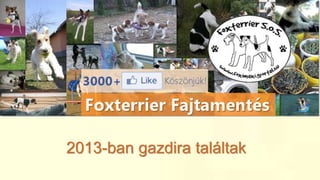 2013-ban gazdira találtak
 