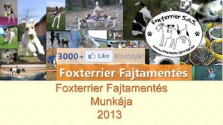 Foxterrier Fajtamentés
Munkája
2013
 