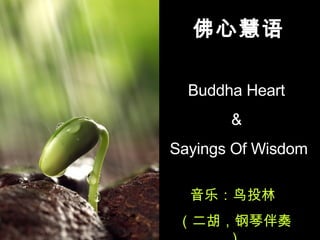 佛心慧语 Buddha Heart  &  Sayings Of Wisdom 音乐：鸟投林  （二胡，钢琴伴奏） 