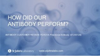 HOW DID OUR
ANTIBODY PERFORM?
ANTIBODY CUSTOMER REVIEW: FOXO1A Polyclonal Antibody (STJ93126)
 