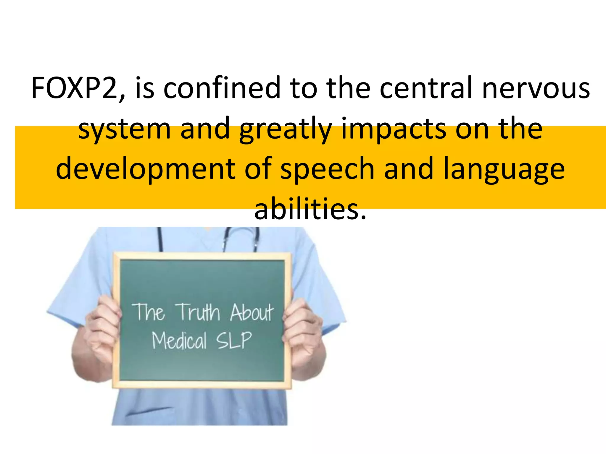 FOXP2, is confined to the central nervous
system and greatly impacts on the
development of speech and language
abilities.
 
