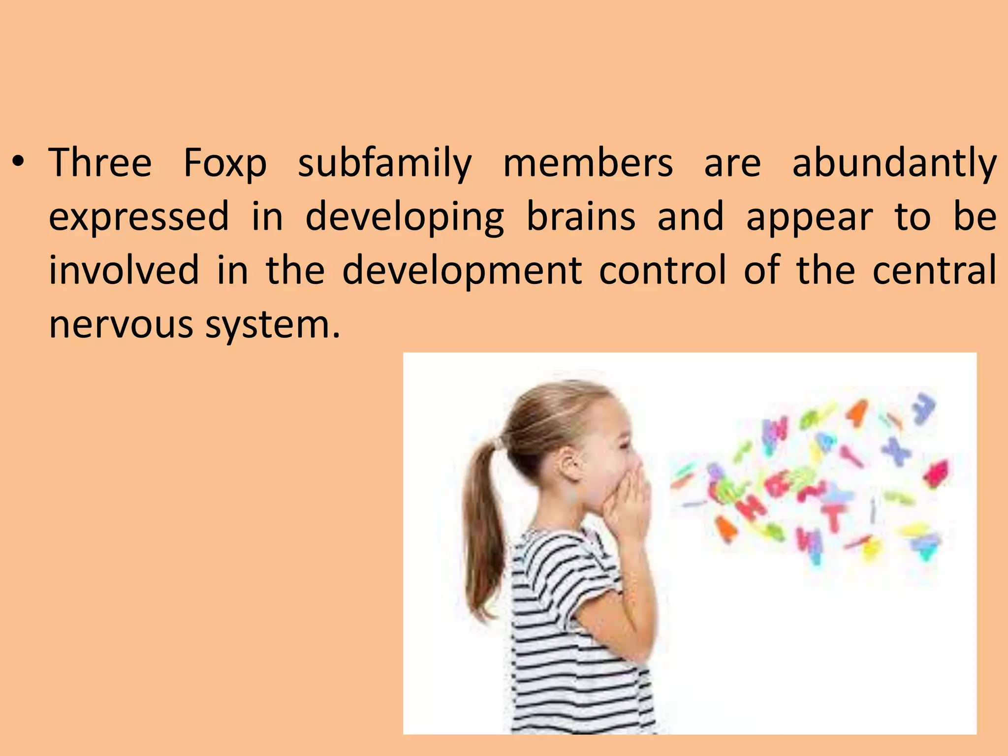 • Three Foxp subfamily members are abundantly
expressed in developing brains and appear to be
involved in the development control of the central
nervous system.
 