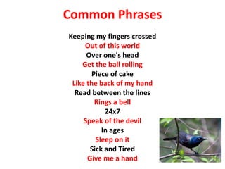 Common Phrases
Keeping my fingers crossed
Out of this world
Over one's head
Get the ball rolling
Piece of cake
Like the back of my hand
Read between the lines
Rings a bell
24x7
Speak of the devil
In ages
Sleep on it
Sick and Tired
Give me a hand
 