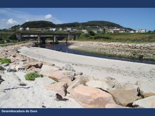 Desembocadura do Ouro
 