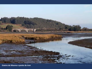 Esteiro do Masma e ponte do tren
 