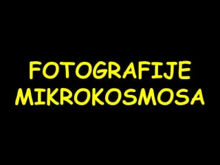 FOTOGRAFIJE MIKROKOSMOSA 