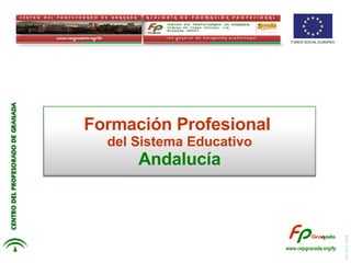 Rai Abril 2008 Formación Profesional  del Sistema Educativo Andalucía www.cepgranada.org/fp 