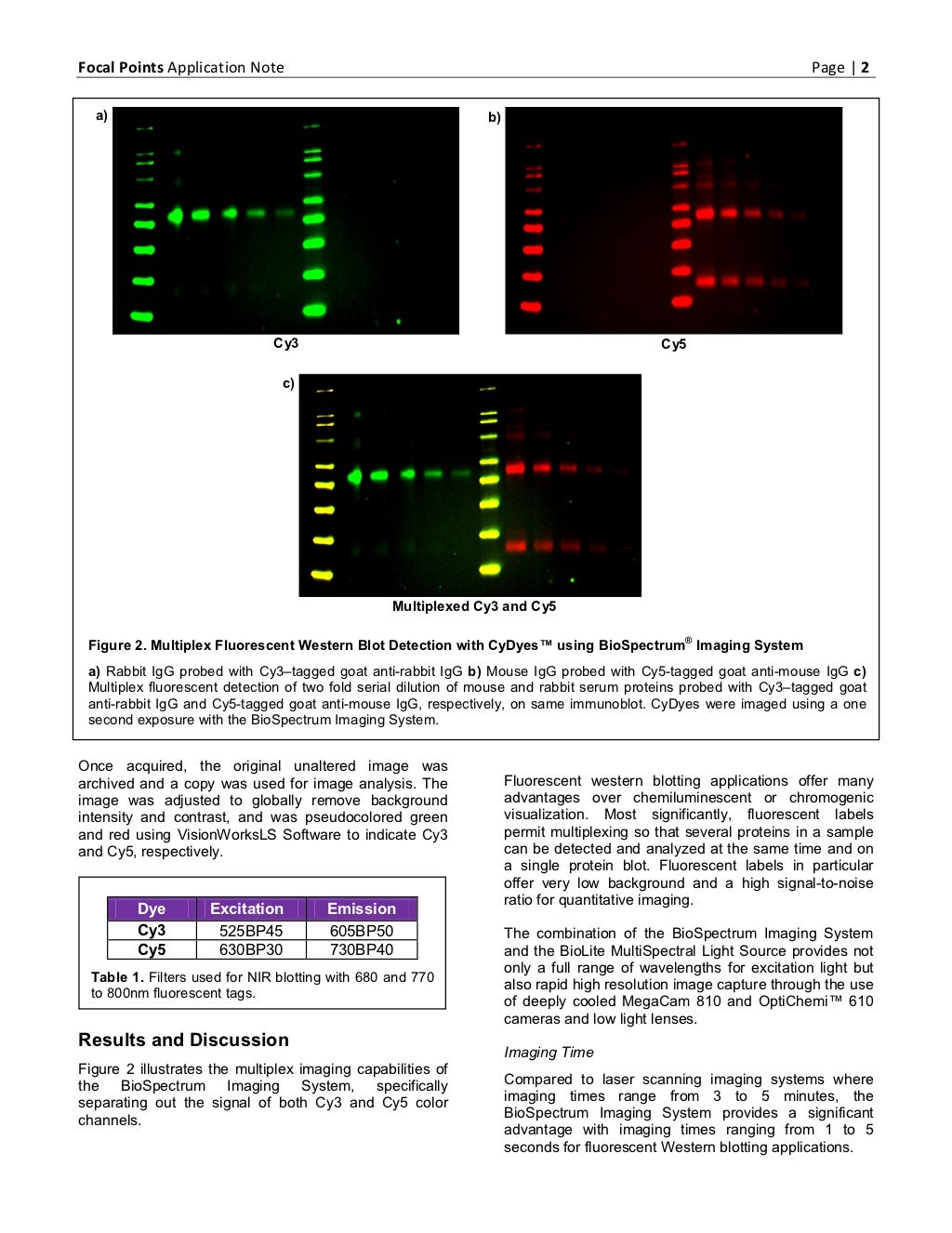 Multiplex Western Blot