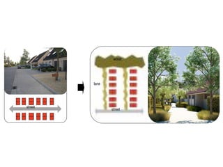 street
street
lane
wood
 