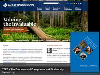 TEEB - The Economics of Ecosystems and Biodiversity
teebweb.org
T
h
e
E
c
o
n
o
m
ic
s
o
f
E
c
o
s
ys
te
m
s
&
B
io
d
iv
e
rs
ity
TEEB FOR POLICY MAKERS
SUMMARY: RESPONDING TO THE VALUE OF NATURE
 