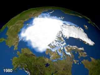 1980
 