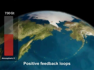 Positive feedback loops
 
