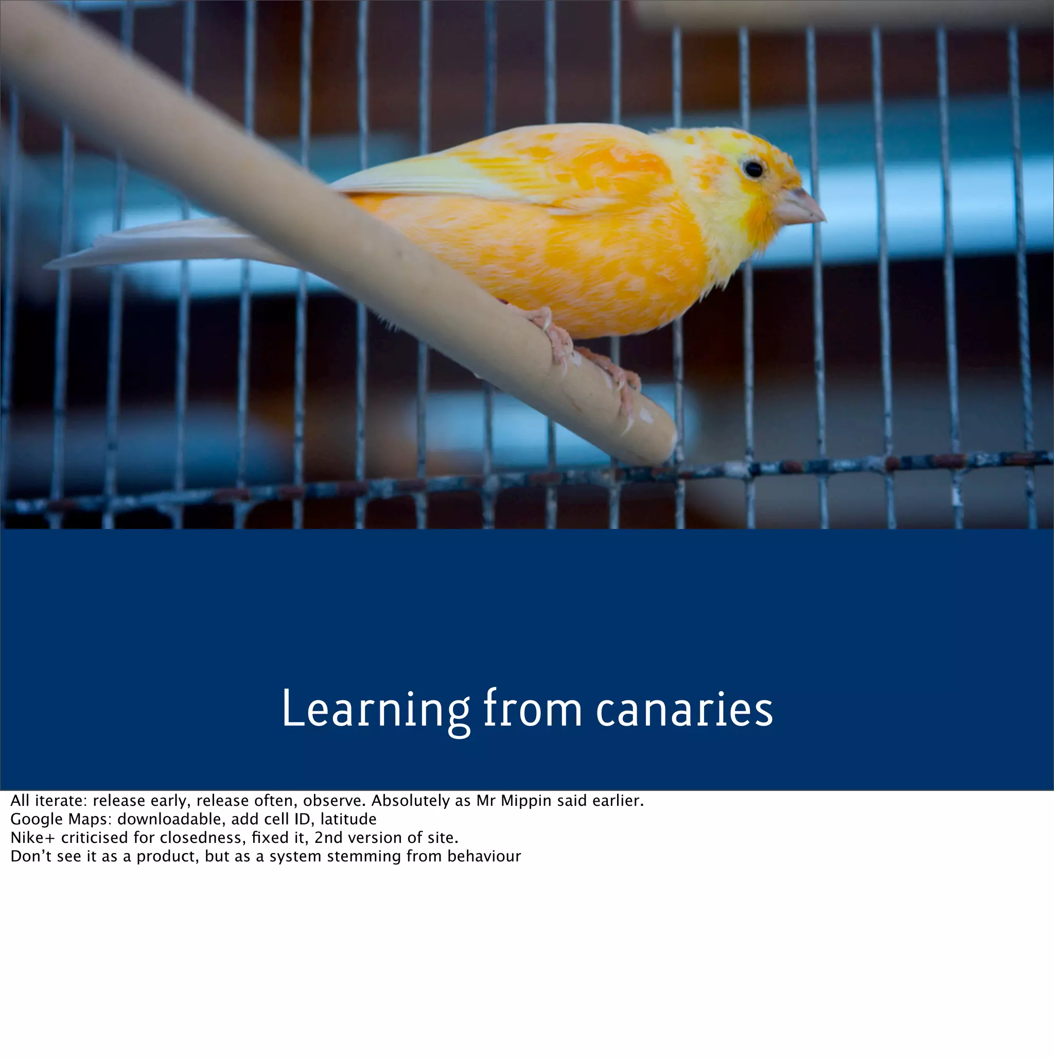 Learning from canaries
All iterate: release early, release often, observe. Absolutely as Mr Mippin said earlier.
Google Maps: downloadable, add cell ID, latitude
Nike+ criticised for closedness, ﬁxed it, 2nd version of site.
Don’t see it as a product, but as a system stemming from behaviour
 