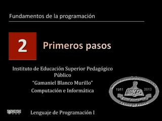 2
Fundamentos de la programación
Instituto de Educación Superior Pedagógico
Público
“Gamaniel Blanco Murillo”
Computación e Informática
Lenguaje de Programación I
 