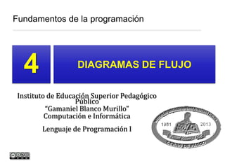 4
Fundamentos de la programación
DIAGRAMAS DE FLUJO
Instituto de Educación Superior Pedagógico
Público
“Gamaniel Blanco Murillo”
Computación e Informática
Lenguaje de Programación I
 