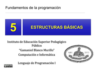 5
Fundamentos de la programación
ESTRUCTURAS BÁSICAS
Instituto de Educación Superior Pedagógico
Público
“Gamaniel Blanco Murillo”
Computación e Informática
Lenguaje de Programación I
 