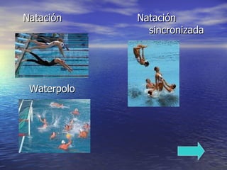 Natación  Natación    sincronizada Waterpolo 