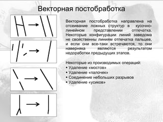 Векторная постобработка Векторная постобработка направлена на отсеивание ложных структур в  кусочно-линейном представлении отпечатка. Некоторые конфигурации линий заведома не свойственны линиям отпечатка пальцев, и если они все-таки встречаются, то они наверняка являются результатом недоработки предыдущих этапов. Некоторые из производимых операций: Удаление «мостов» Удаление «палочек» Соединение небольших разрывов Удаление «усиков» 