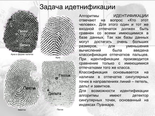Задача идетнификации Алгоритмы ИДЕНТИФИКАЦИИ отвечают на вопрос «Кто этот человек». Для этого один и тот же входной отпечаток должен быть сравнен со всеми имеющимися в базе данных. Так как базы данных могут достигать очень больших размеров, для уменьшения вычислений была введена классификация отпечатков пальцев. При идентификации производится сравнение только с имеющимися отпечатками того же класса. Классификация основывается на наличии в отпечатке сингулярных точек в направлениях линий – петель, дельт и завитков. Для возможности идентификации алгоритмы имеют детектор сингулярных точек, основанный на индексах Пуанкаре. Арка в форме палатки Арка Завиток Петля 