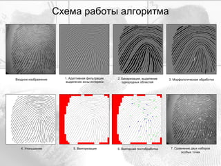 Схема работы алгоритма Входное изображение 1. Адаптивная фильтрация, выделение зоны интереса 2. Бинаризация, выделение однородных областей 3. Морфологическая обработка 4. Утоньшение 5. Векторизация 6. Векторная постобработка 7. Сравнение двух наборов особых точек 