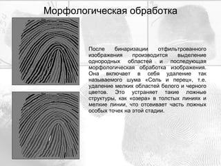 Морфологическая обработка После бинаризации отфильтрованного изображения производится выделение однородных областей и последующая морфологическая обработка изображения. Она включает в себя удаление так называемого шума «Соль и перец», т.е. удаление мелких областей белого и черного цветов. Это устраняет такие ложные структуры, как «озера» в толстых линиях и мелкие линии, что отсеивает часть ложных особых точек на этой стадии. 