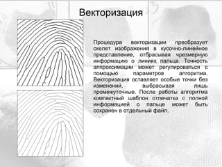 Векторизация Процедура векторизации преобразует скелет изображения в кусочно-линейное представление, отбрасывая чрезмерную информацию о линиях пальца. Точность аппроксимации может регулироваться с помощью параметров алгоритма. Векторизация оставляет особые точки без изменений, выбрасывая лишь промежуточные. После работы алгоритма компактный шаблон отпечатка с полной информацией о пальце может быть сохранен в отдельный файл. 