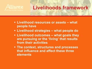 Possible theoretical frameworks for FP4 research: some suggestions