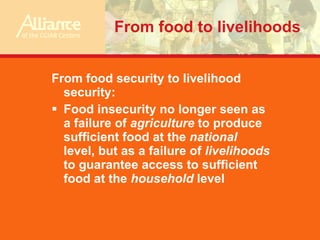 Possible theoretical frameworks for FP4 research: some suggestions