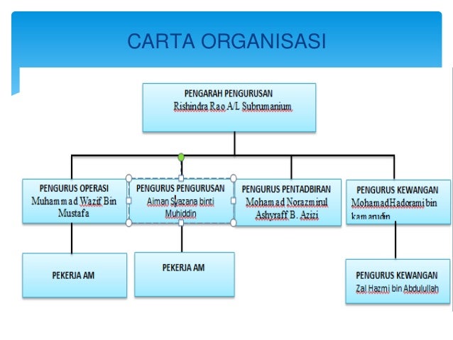 Cyberpreneurship