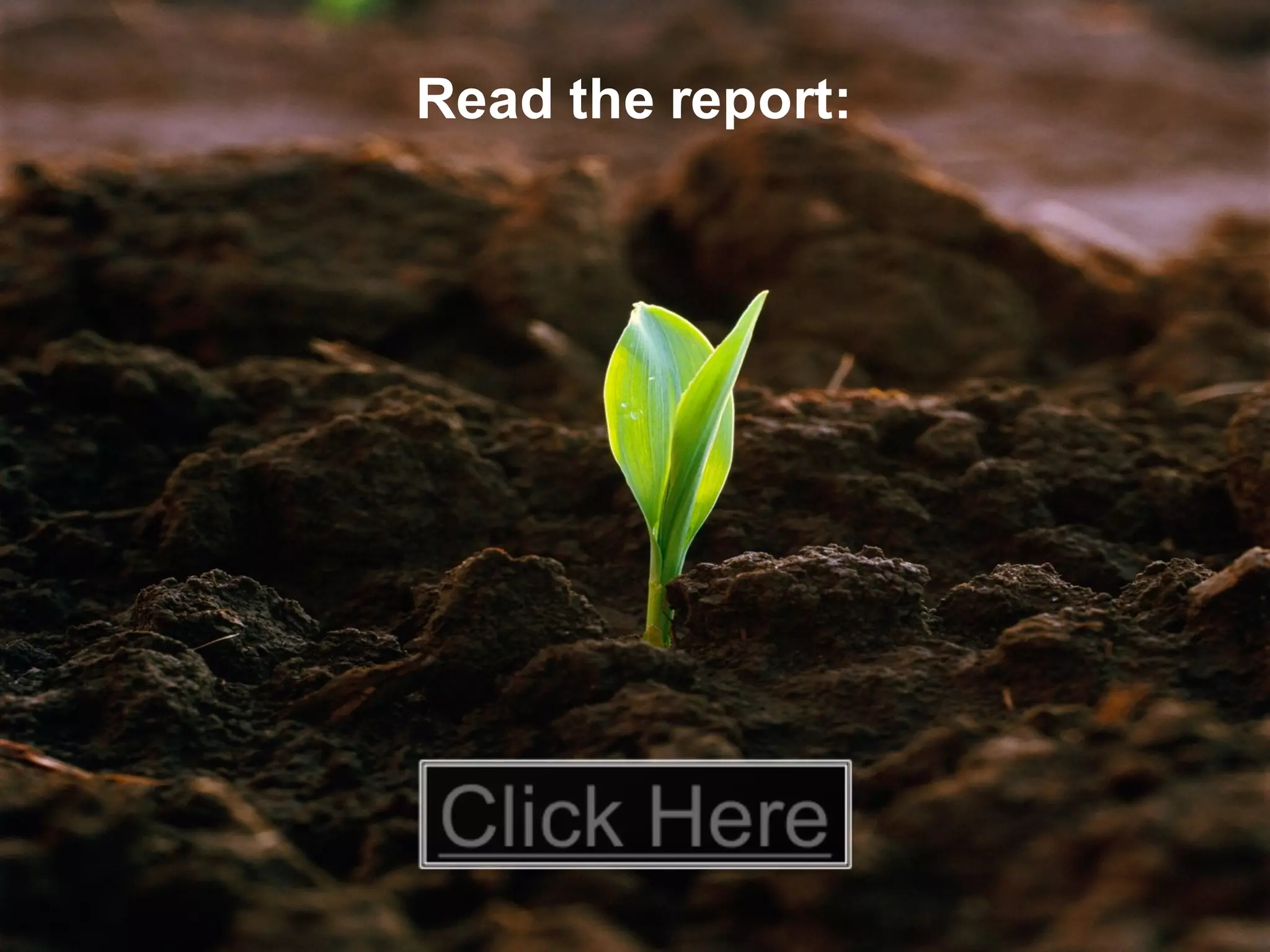 © 2015   SAP   SE  or  an  SAP   affiliate  company.   All  rights  reserved. 15Internal
Read  the  report:
 