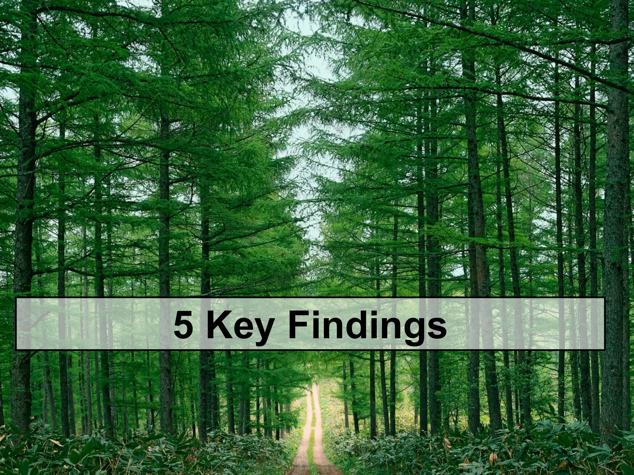 © 2015   SAP   SE  or  an  SAP   affiliate  company.   All  rights  reserved. 4Internal
5  Key  Findings
 