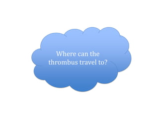Where can the
thrombus travel to?
 