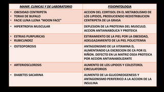 MANIF. CLINICAS Y DE LABORATORIO FISIOPATOLOGIA
• OBESIDAD CENTRIPETA
• TORAX DE BUFALO
• FACIE LUNA LLENA “MOON FACE”
ACCION DEL CORTISOL EN EL METABOLISMO DE
LOS LIPIDOS, PRODUCIENDO REDISTRIBUCION
CENTRIPETA DE LA GRASA
• HIPERTROFIA MUSCULAR DEPLESION DE LA PROTEINA DEL MUSCULO.
ACCION ANTIANABOLICA Y PROTEICA
• ESTRIAS PURPURICAS
• RUBICUNDEZ
ESTIRAMIENTO DE LA PIEL POR LA OBESIDAD,
ADELGAZAMIENTO DE LA PIEL POLICITEMIA
• OSTEOPOROSIS ANTAGONISMO DE LA VITAMINA D,
AUMENTANDO LA EXCRECION DE CA POR EL
RIÑON. DEFECTO EN LA MATRIZ OSEA PROTEICA
POR ACCION ANTIANABOLIZANTE
• ARTERIOSCLEROSIS AUMENTO DE LOS LIPIDOS Y COLESTEROL
CIRCULATORIOS
• DIABETES SACARINA AUMENTO DE LA GLUCONEOGENESIS Y
ANTAGONISMO PERIFERICO A LA ACCION DE LA
INSULINA
 