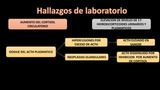 AUMENTO DEL CORTIZOL
CIRCULATORIO
ELEVACION DE NIVELES DE 17-
HIDROXICORTICOIDES URINARIOS Y
PLASMATICOS
DOSAJE DEL ACTH PLASMATICO
HIPERFUSIONES POR
EXCESO DE ACTH
NEOPLASIAS GLANDULARES
ACTH ELEVADO EN
SANGRE
ACTH DISMINUIDO POR
INHIBICION POR AUMENTO
DE CORTISOL
 