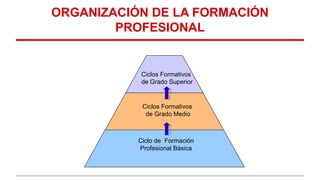 ORGANIZACIÓN DE LA FORMACIÓN
PROFESIONAL
Ciclos Formativos
de Grado Superior
Ciclos Formativos
de Grado Medio
Ciclo de Formación
Profesional Básica
 