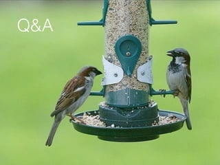 Q&A
 